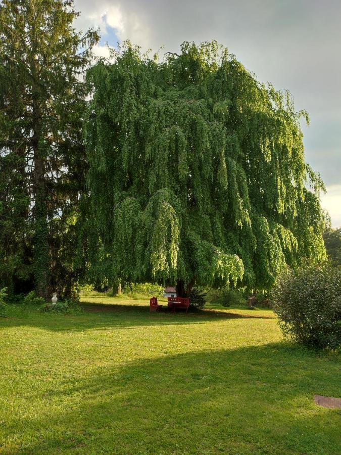 Отель Il Vecchio Faggio Rodero Экстерьер фото